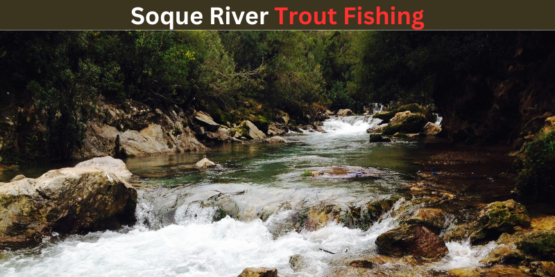 Soque River Trout Fishing